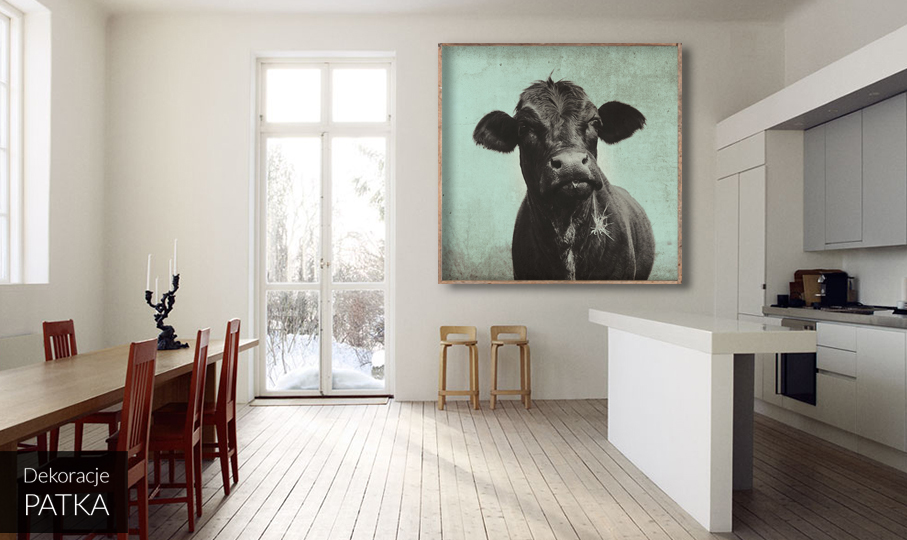 Obraz na plótnie - Krowa
