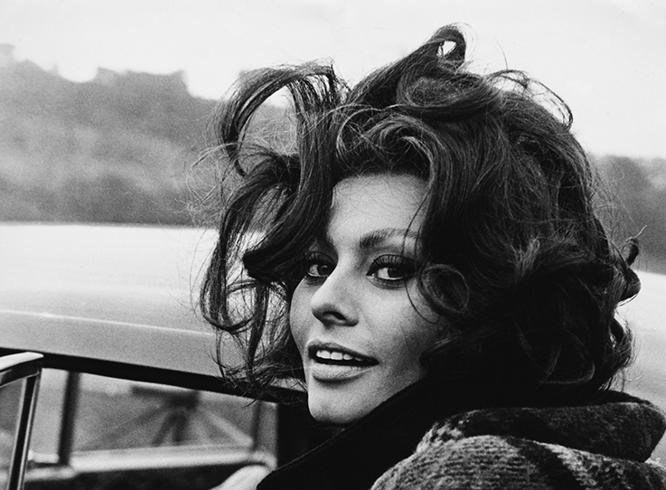 Sophia Loren - wf2276