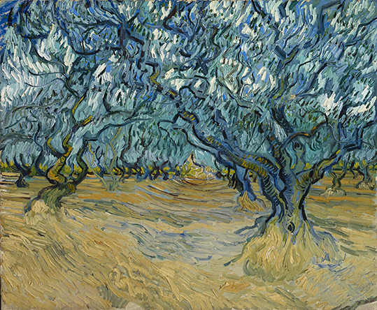 Drzewa oliwne- Vincent van Gogh  - wf2050