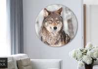 Wilk - obraz w okrągłej ramie