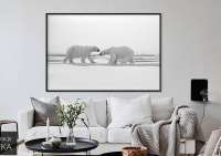 Obraz na płótnie - Niedźwiedzie